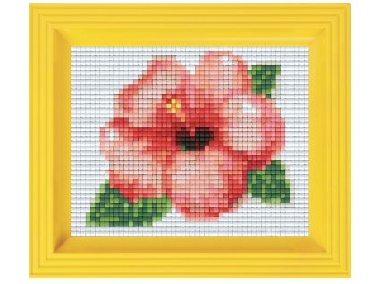 2062 obrazek s rameckem 32 barev kvet ii