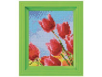 2047 obrazek s rameckem 35 barev tulipan