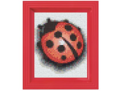 1300 obrazek s rameckem 36 barev beruska