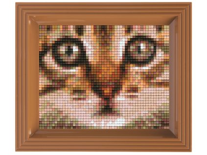 1966 obrazek s rameckem 36 barev kote