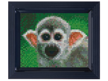 1951 obrazek s rameckem 36 barev opicka