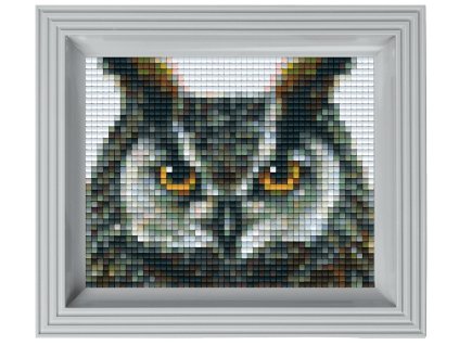 1972 obrazek s rameckem 36 barev sova