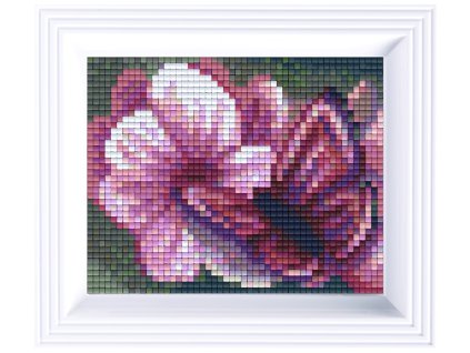 1207 obrazek s rameckem 37 barev motyl i