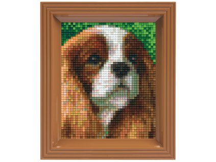 2008 obrazek s rameckem 37 barev pes i