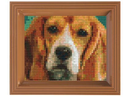 1954 obrazek s rameckem 39 barev pes