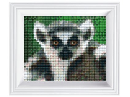 1981 obrazek s rameckem 40 barev lemur