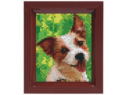 2011 obrazek s rameckem 40 barev pes ii