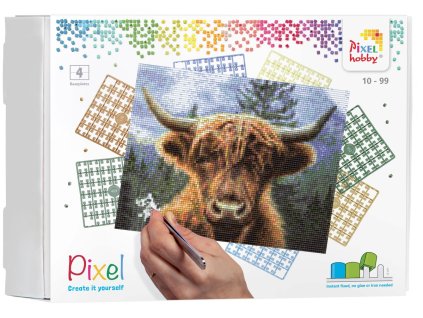 90089 Scottish highlander 4BP EN