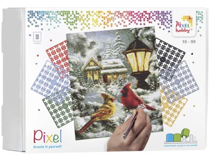 90114 Birds winterlandscape 9BP EN