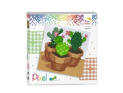 44009 Pixel set