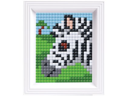 85 1 set xl s rameckem zebra