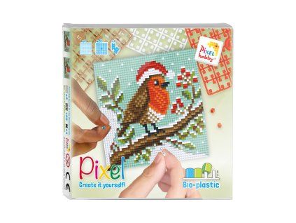 44027 Pixel set 2025