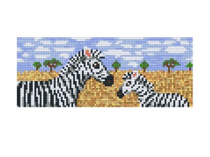 Zebra 32038
