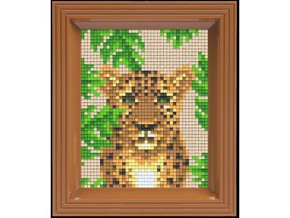 Jaguar komplet 31429