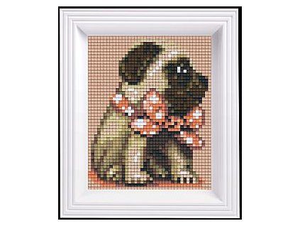 Mopslík komplet 31446