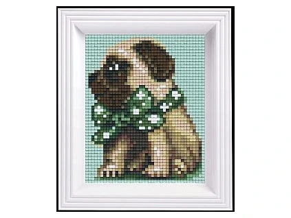 Mopslík komplet 31447