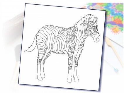 zebra