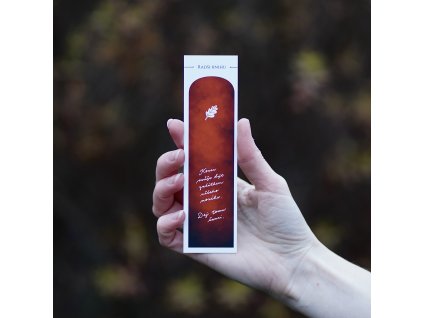 #11 - Dej tomu šanci (podzim '25)