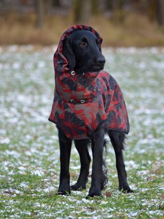 Moji milí, oprašuji náš zimní bestseller 🤩 🌟🌟🌟Softshellová bunda pro psa 🐾🌟🌟🌟 Zima ještě zdaleka nedala sbohem! 🥶...