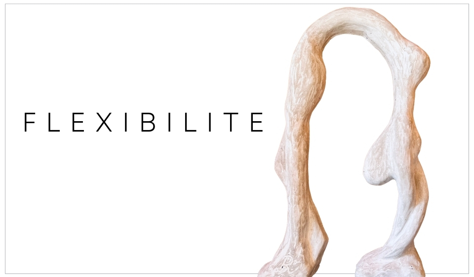 FLEXIBILITE