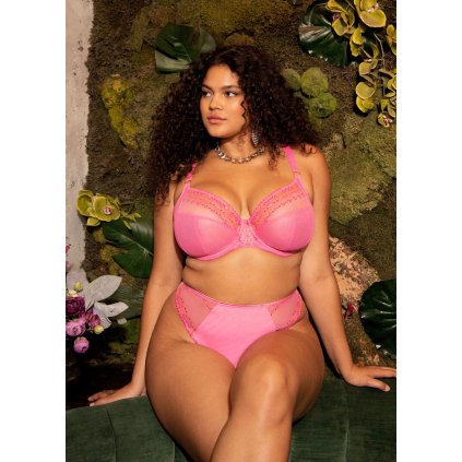 eng pm Biustonosz Elomi MATILDA EL8900WIY Uw Plunge Bra Wild Cherry 36679 5