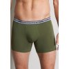 BALDESSARRINI 90067 boxerky s prodlouženou nohavičkou, 3ks v balení, zelená, šedá
