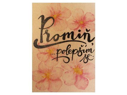 Přání BeBechy A6, kraft - Promiň