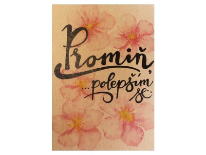 Přání BeBechy A6, kraft - Promiň