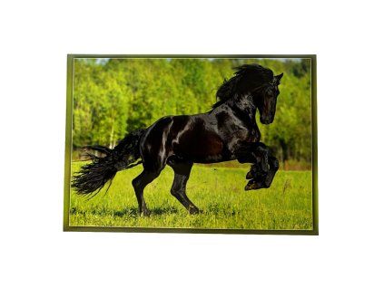 Pohled Koně - Černý Blesk