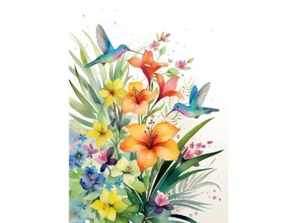 Přání Bug Art A6, květiny - Kolibříci