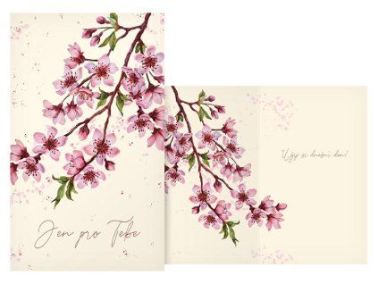 Přání MFP srdečné - Třešeň