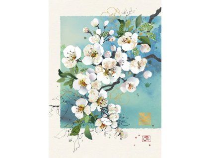 Přání Bug Art A6, květiny - Jabloň