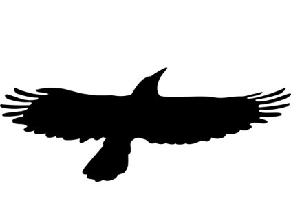 Samolepka - Silueta Pták - dravec, 25 x 10 cm