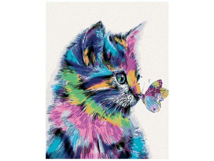 Malování podle čísel - Barevná kočička, 40 x 50 cm