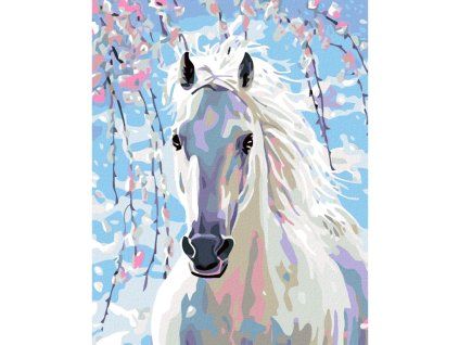 Malování podle čísel - Bílý kůň, 40 x 50 cm