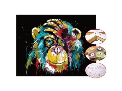 Malování podle čísel - Opice, 30 x 40 cm