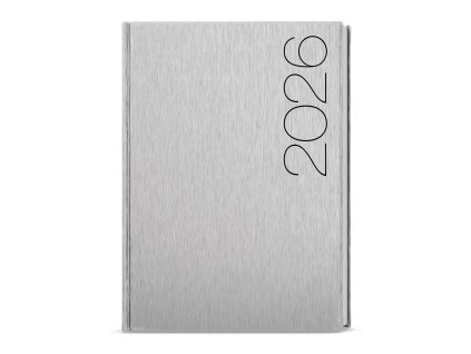 Denní diář 2026 David - ForMen, A5, Silver