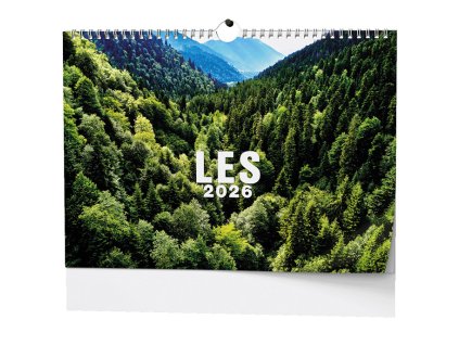 Nástěnný kalendář 2026 Les