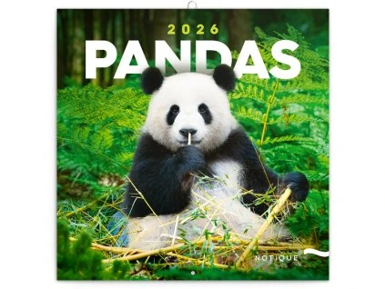 Nástěnný kalendář 2026 Pandy