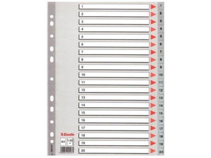 Rozdružovač A4, 1-20, Esselte