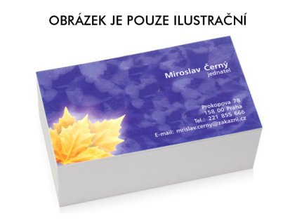 Samolepicí vizitky plnobarevné, 100 ks
