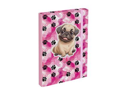 Box na sešity A4 Tlapky