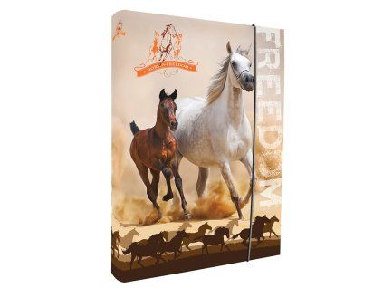 Box na sešity A4 Horses Freedom
