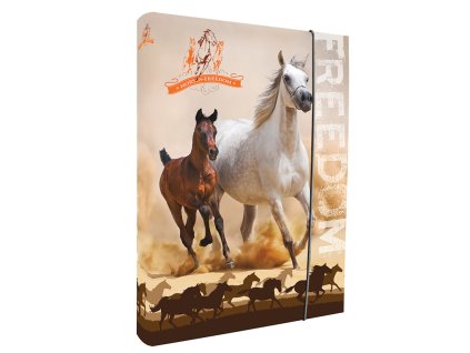 Box na sešity A4 Horses Freedom