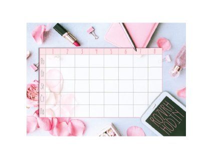 Rozvrh hodin Pink