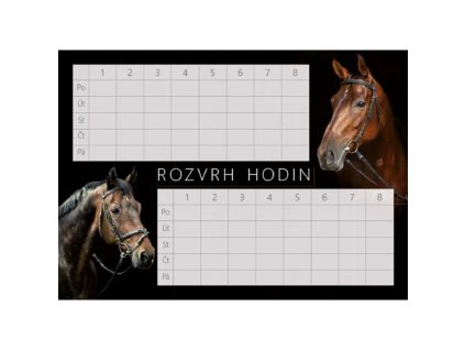 Rozvrh hodin Koně