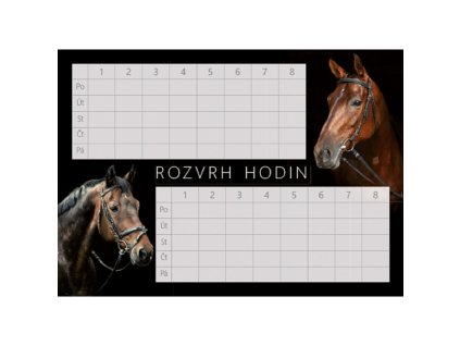 Rozvrh hodin Koně