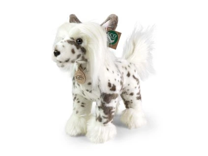 Plyšový pes - čínský chocholatý, 25 cm