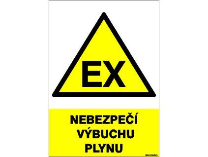 nebezpeci vybuchu plynu