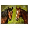 Pohled Koně - Dva hnědáci